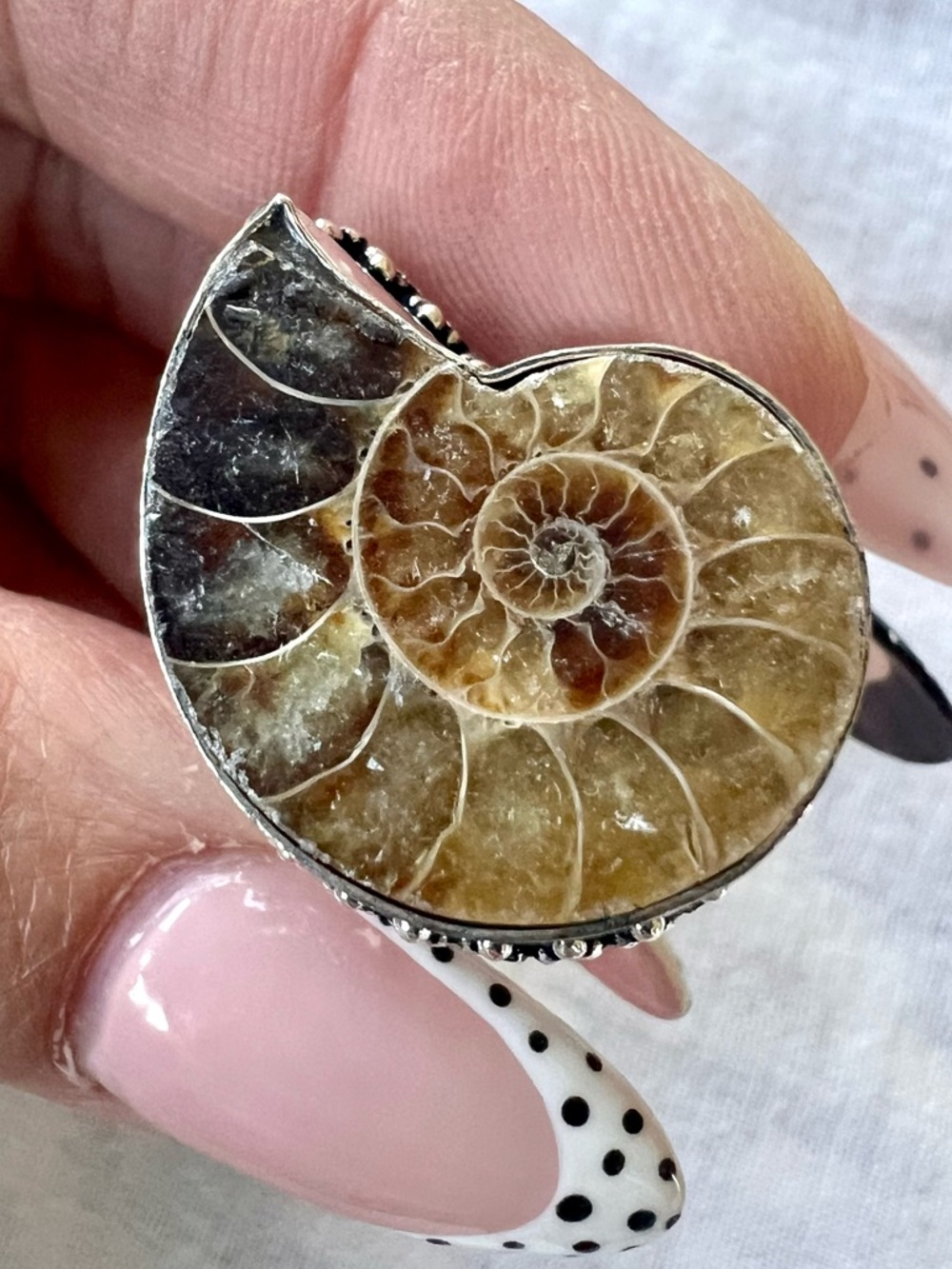925 WOW wow! AMMONITE Fossil Past Lives Ring 6